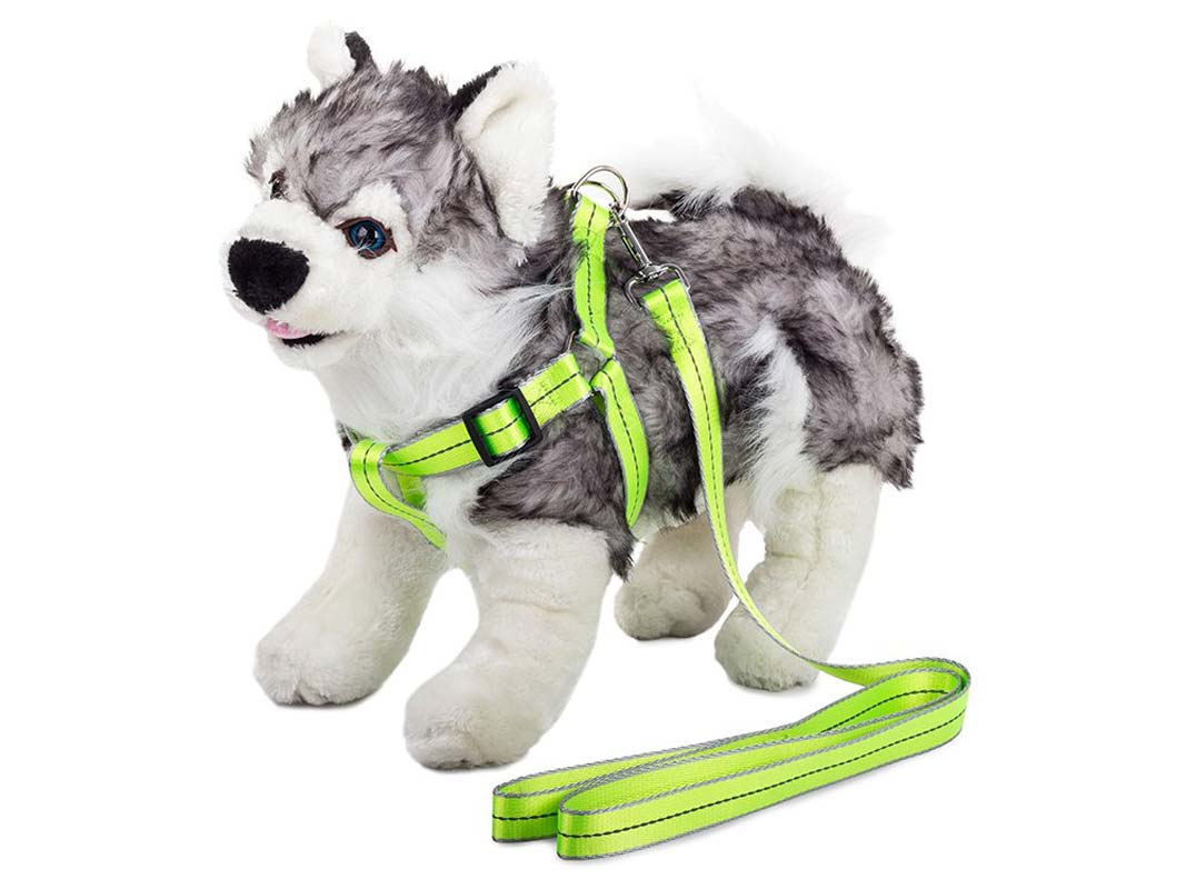 Koppel med sele - Reflex - 125 cm - Strl L - Grön