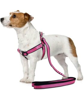 Koppel med sele 125 cm - Strl M - Rosa