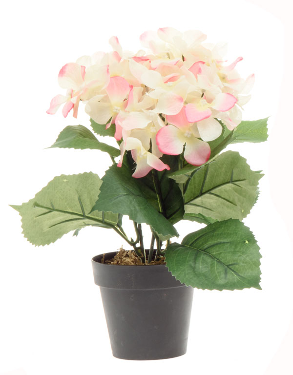 Konstgjord blomma Hydrangea Vit/Rosa 33 cm