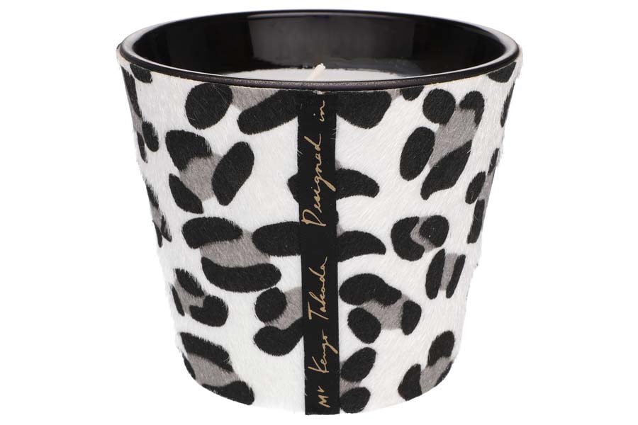 Doftljus Vit Leopard 25 h