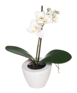 Konstgjord växt - Orkidé 21 cm Vit