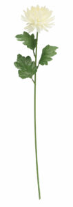 Konstgjord snittblomma - Krysantemum vit