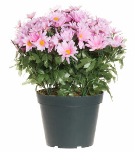 Konstgjord växt - Tusensköna 40 cm - Ljusrosa