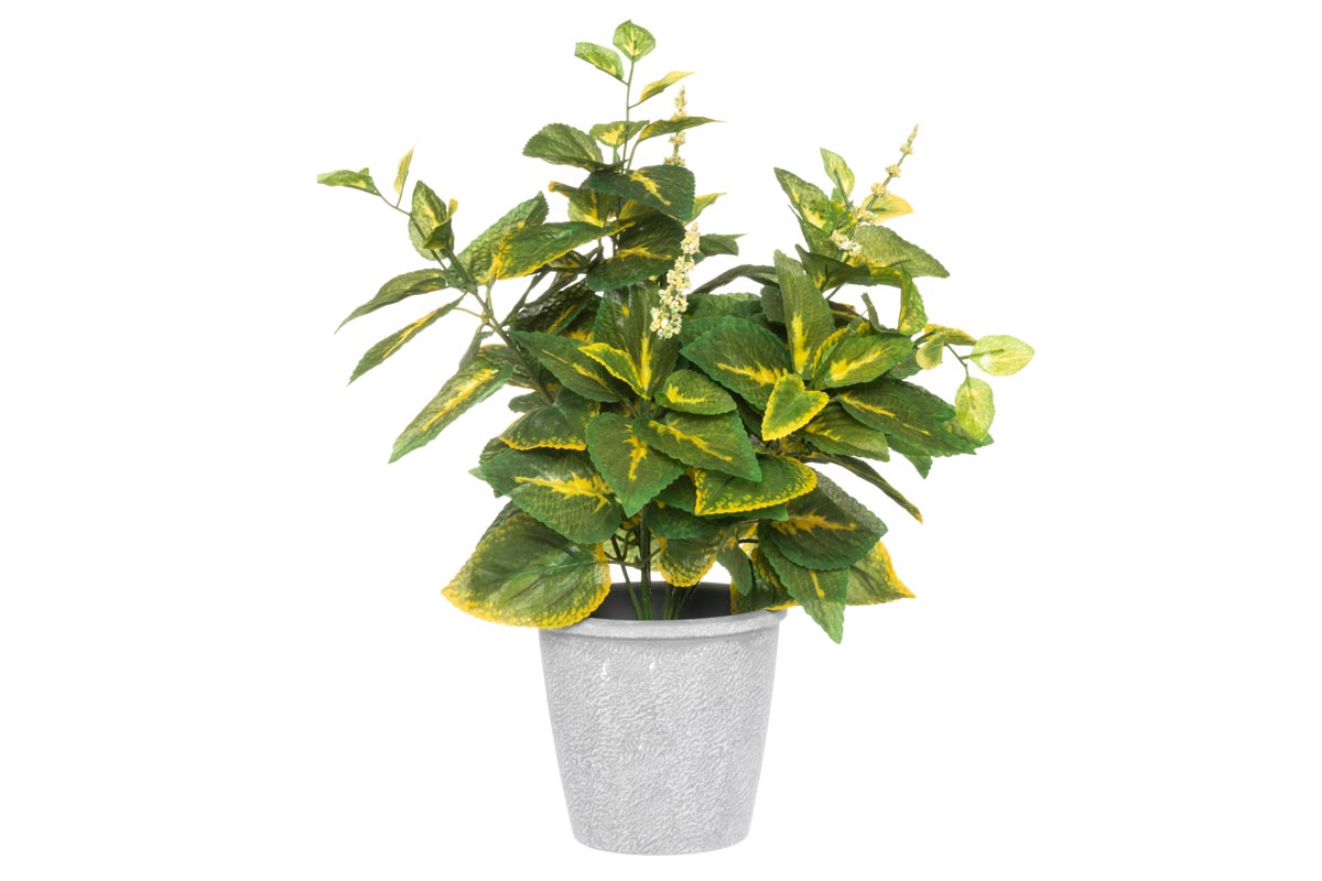 Konstgjord Coleus Palettblad med kruka 40 cm - Grön