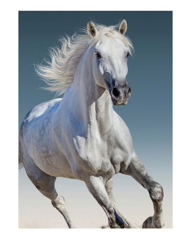 Vit galopperande häst - Fleecefilt Pläd 100x140cm