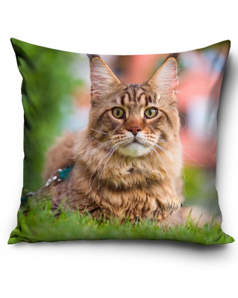 Brun katt - Kuddfodral 40x40cm