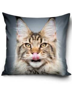 Katt slickar sig om nos - Kuddfodral 40x40cm