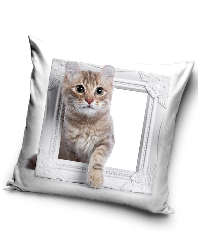 Katt med vit tavelram - Kuddfodral 40x40cm