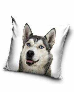 Husky - Kuddfodral 40x40cm