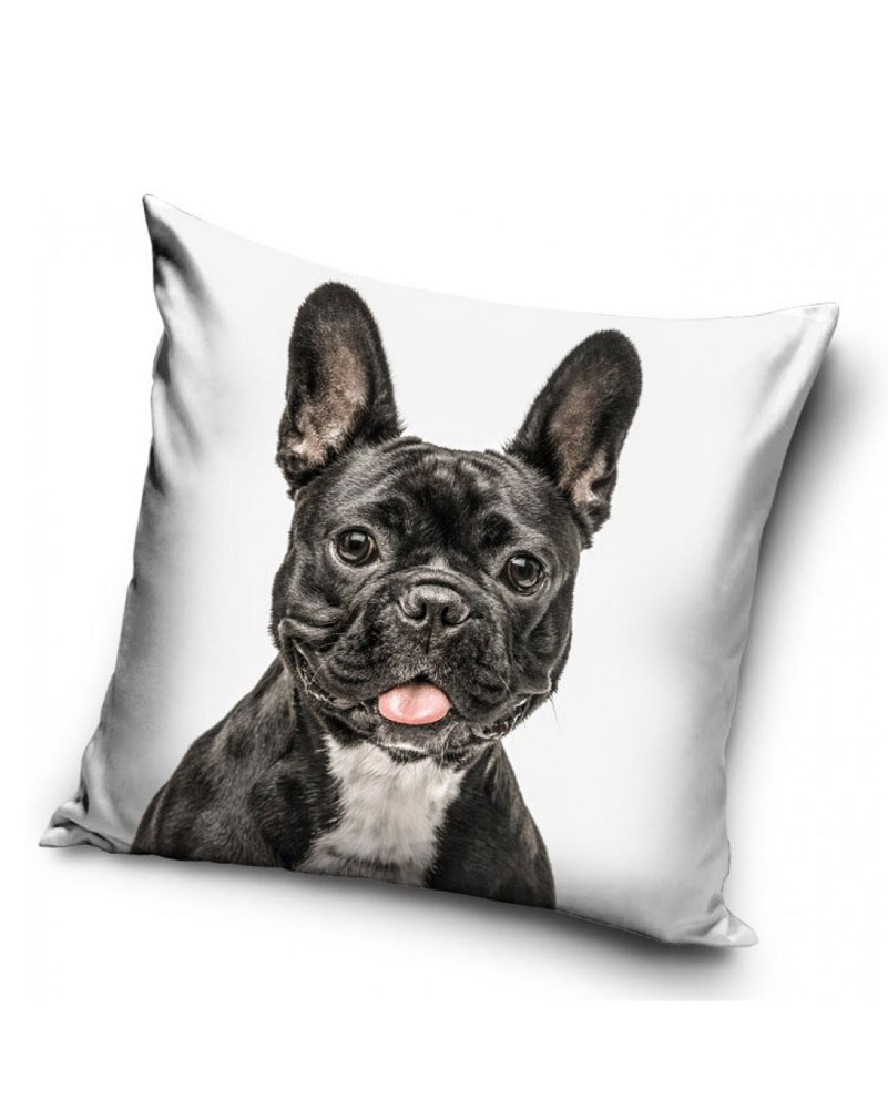 Fransk bulldogg - Kuddfodral 40x40cm