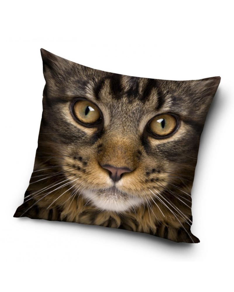 Närbild på brun katt - Kuddfodral 40x40cm