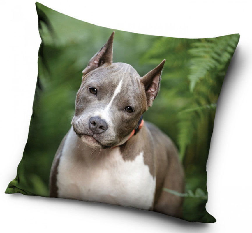 Amstaff valp - Kuddfodral 40x40cm