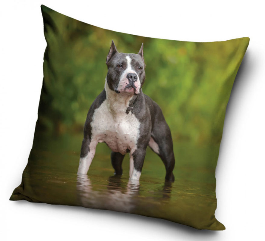 Amstaff i vatten - Kuddfodral 40x40cm