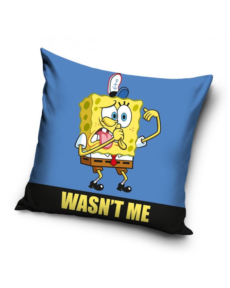 Wasn't me - Kuddfodral 40x40cm