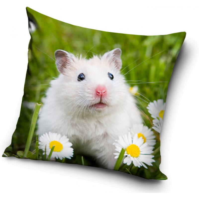 Hamster - Kuddfodral 40x40cm