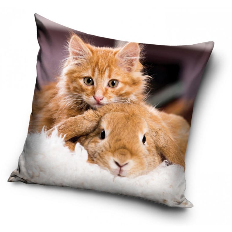 Kattunge och kanin - Kuddfodral 40x40cm