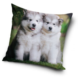 Två hundvalpar husky - Kuddfodral 40x40cm