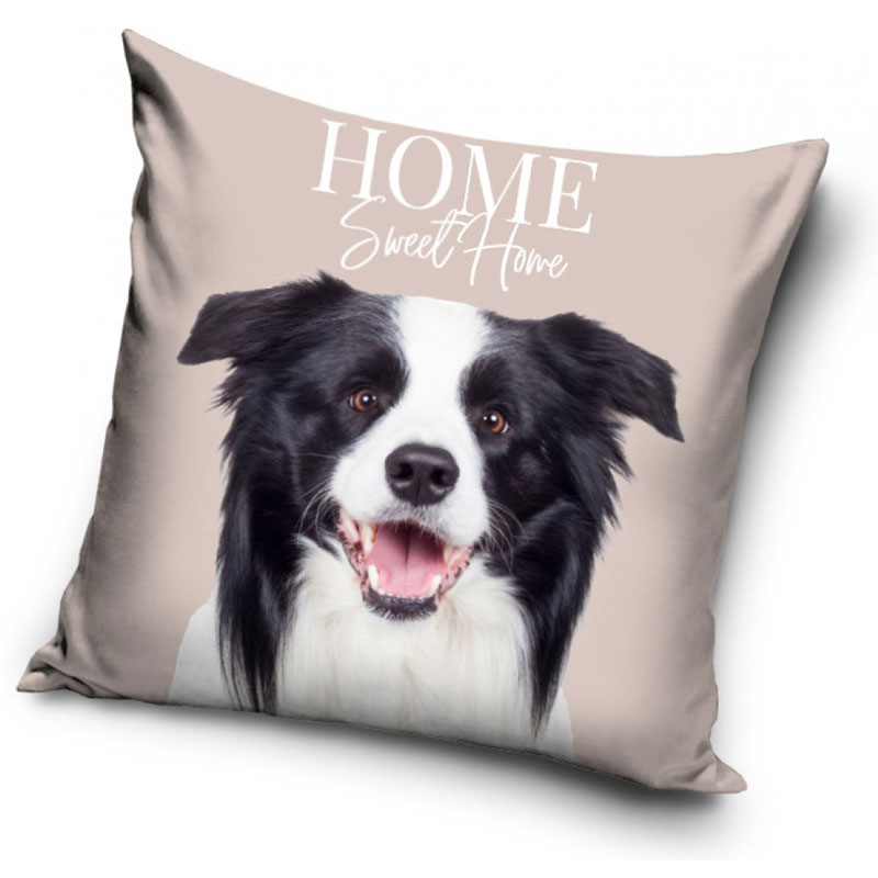 Border collie - Kuddfodral 40x40cm - Beige