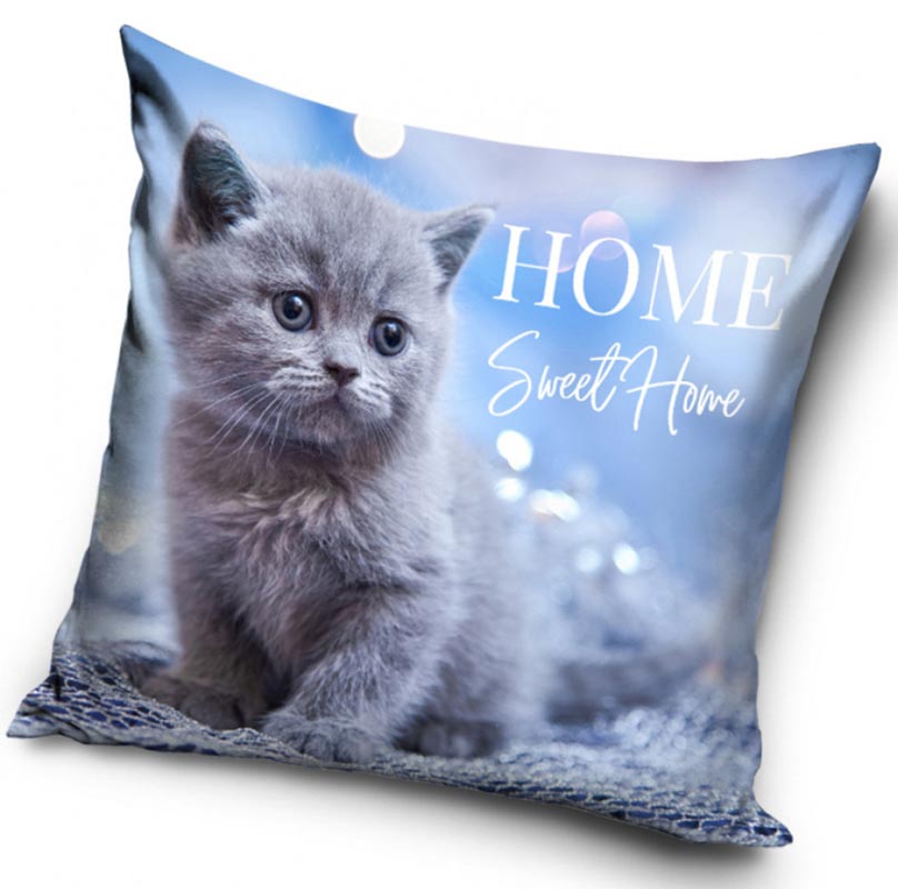 Sittande grå kattunge - Kuddfodral 40x40cm - Blå