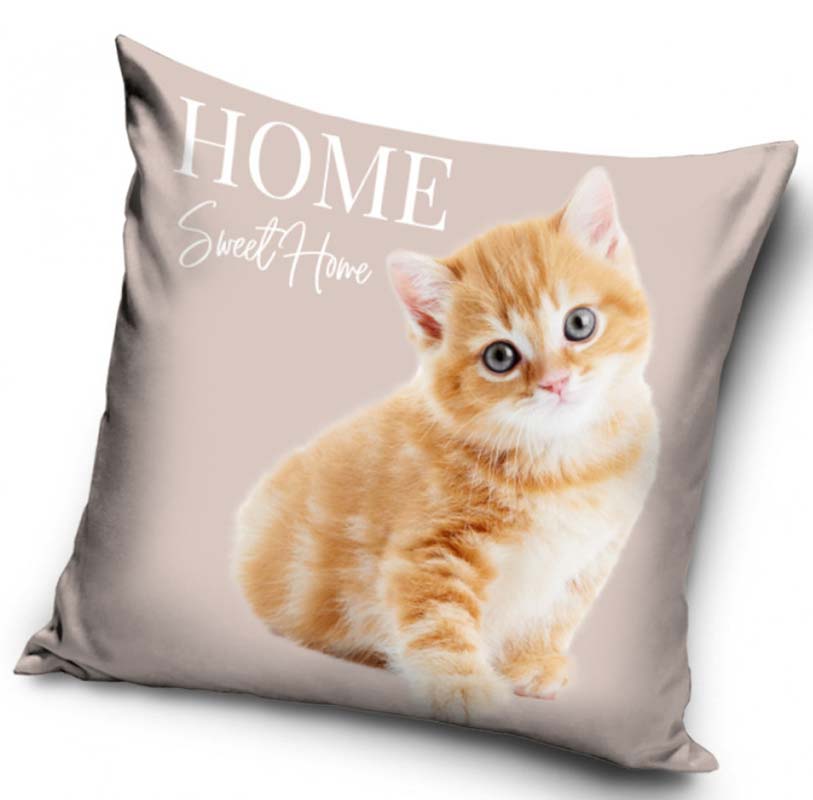 Orange sittande kattunge - Kuddfodral 40x40cm - Beige