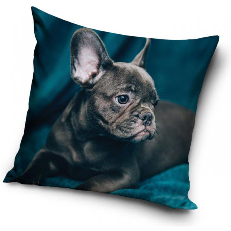 Fransk Bulldog - Kuddfodral 40x40cm - Blå