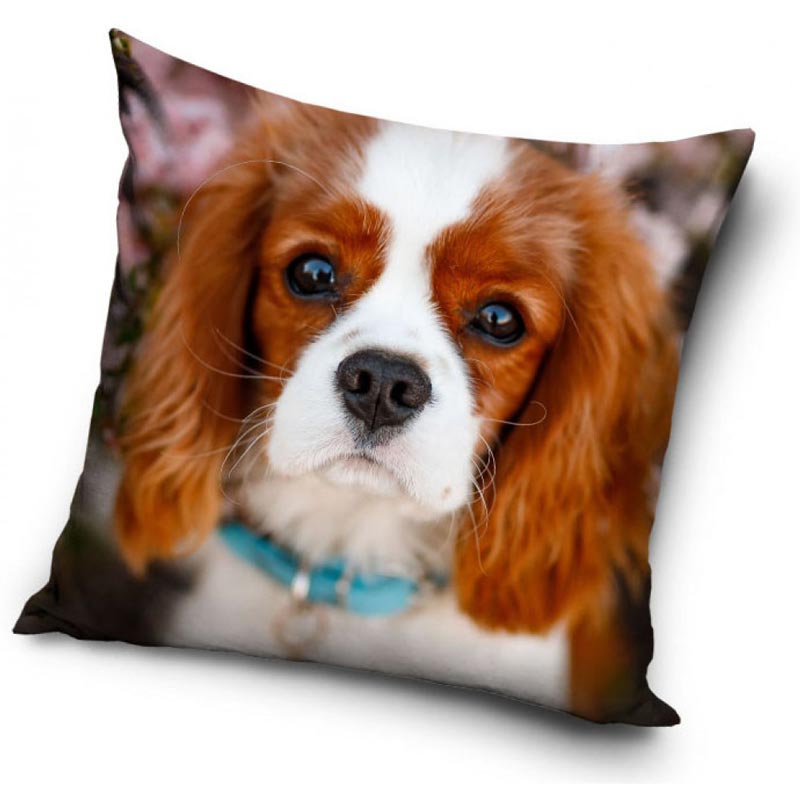 King Charles Spaniel - Kuddfodral 40x40cm