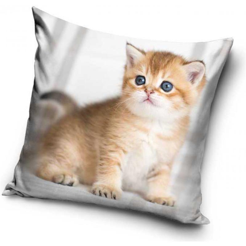 Sittande orange kattunge - Kuddfodral 40x40cm