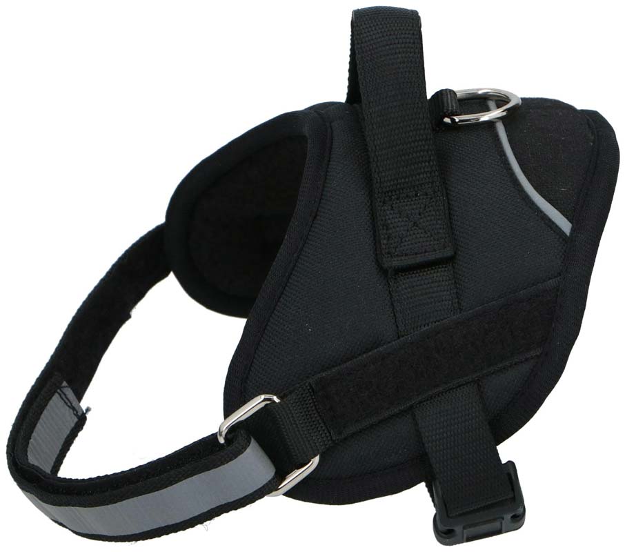 Svart Hundsele - Medium