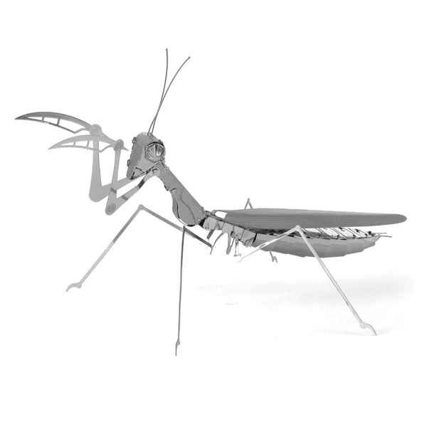 - Insekter, Bönsyrsa - Modellbyggsats i metall